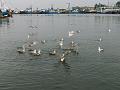 PICT0040