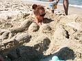 PICT0081